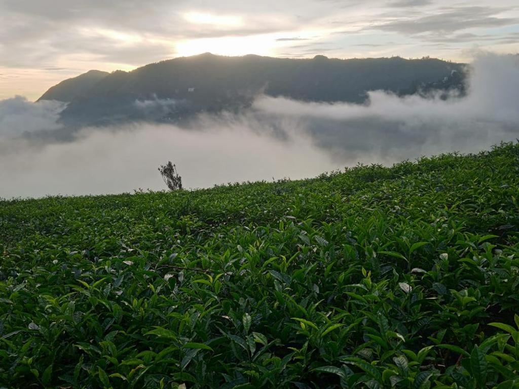 The Nirvana Resort Munnar Exterior photo