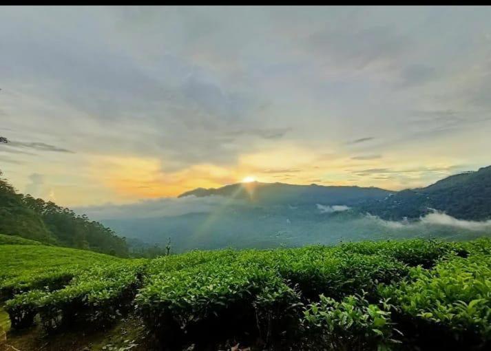 The Nirvana Resort Munnar Exterior photo