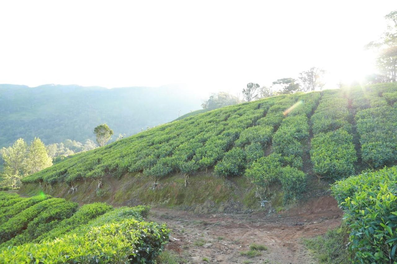 The Nirvana Resort Munnar Exterior photo